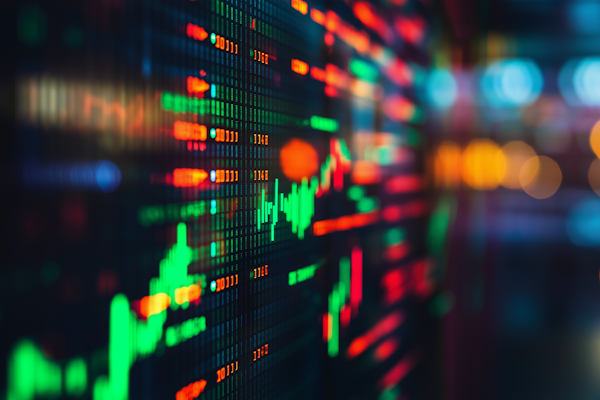 Erfolgreiche Portfolio-Diversifikation eines Kursteilnehmers
